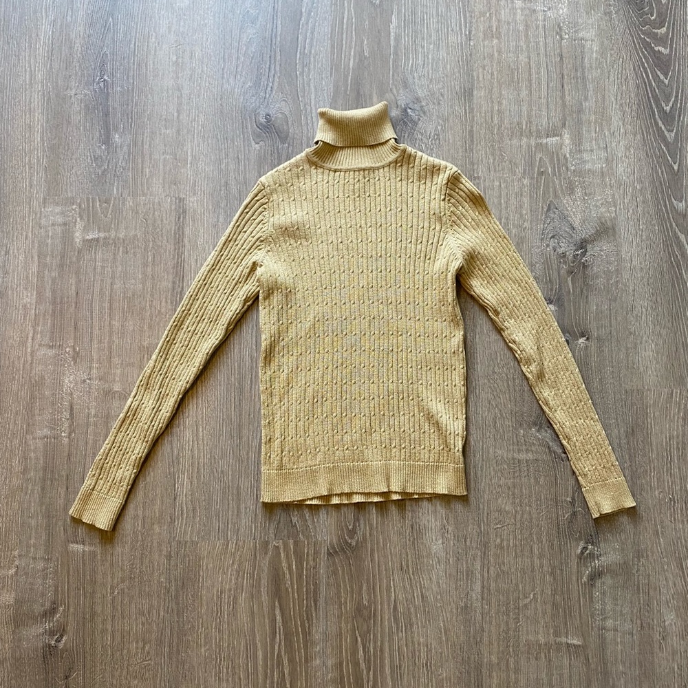 Charter Club Turtleneck